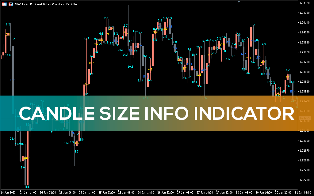 Candle Size Info Indicator for MT5