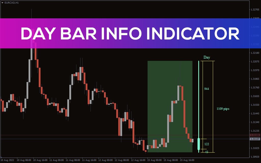 Day Bar Info Indicator