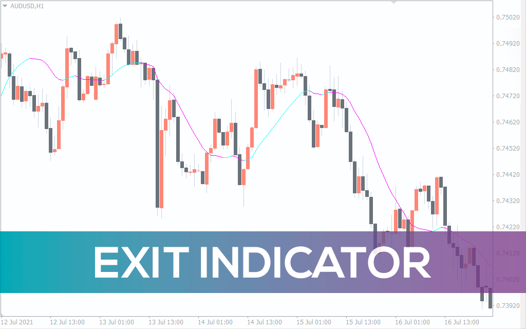Exit Indicator