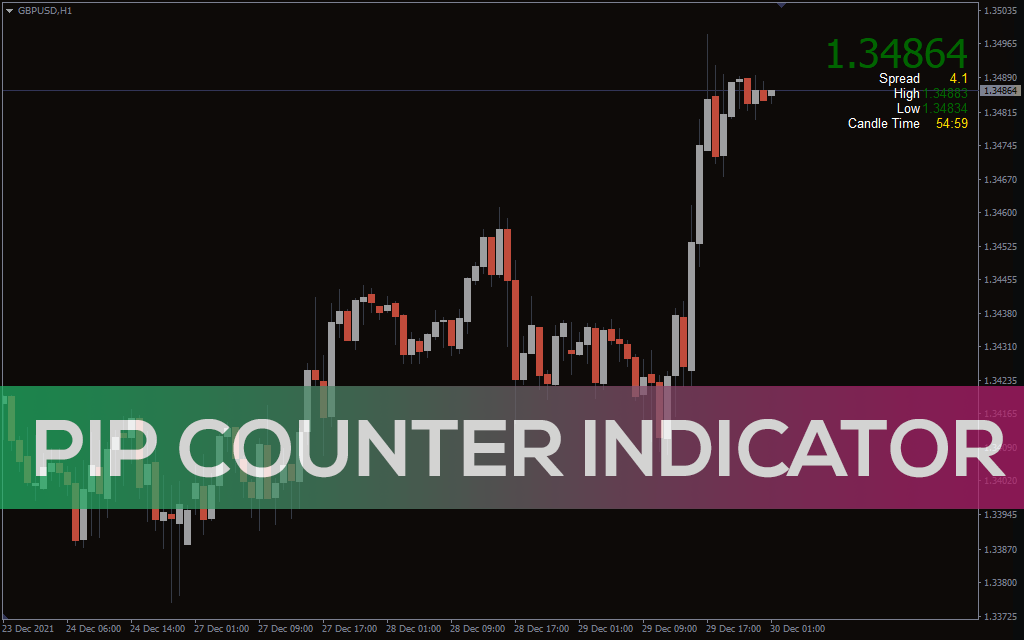 Pip Counter Indicator
