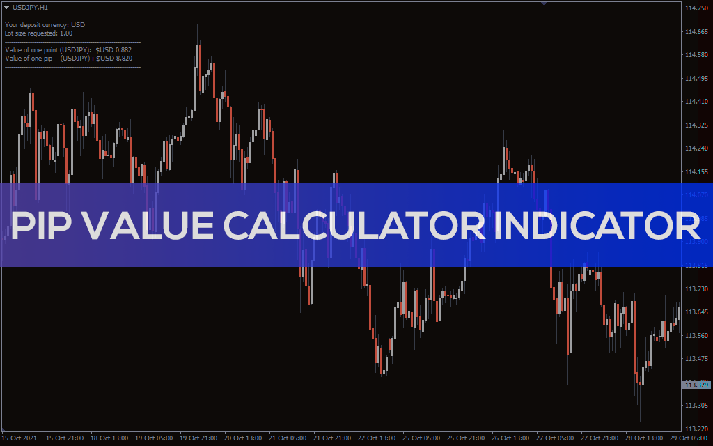 Pip Value Calculator Indicator