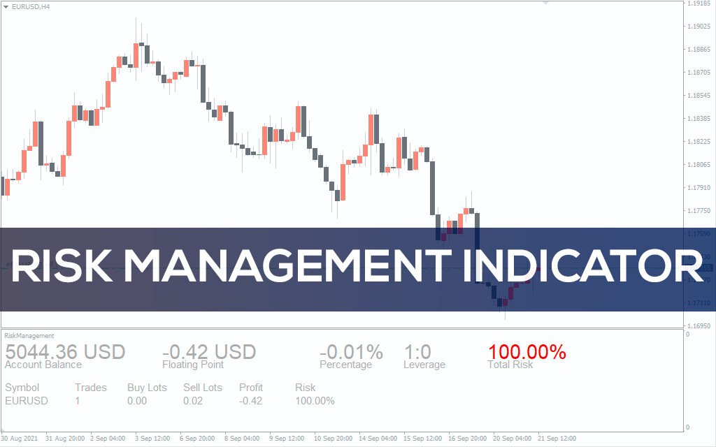Risk Management Indicator